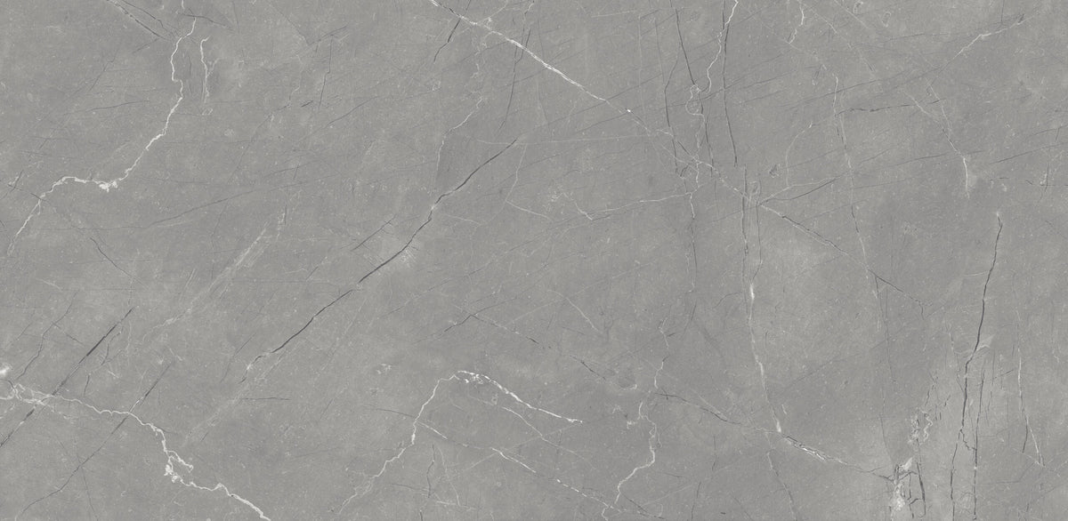 Fine Argenta Grey Glossy 600mm x 1200mm