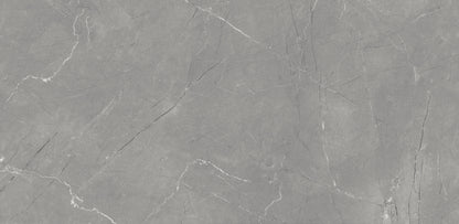 Fine Argenta Grey Glossy 600mm x 1200mm