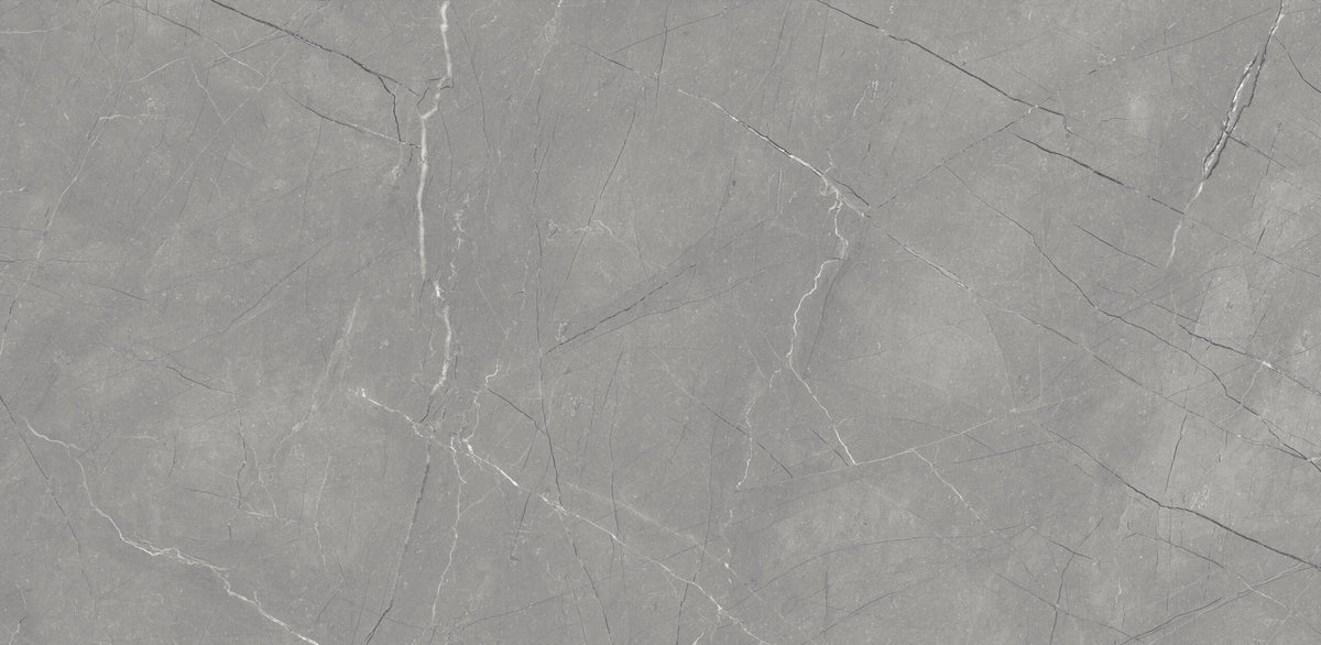 Fine Argenta Grey Glossy 600mm x 1200mm